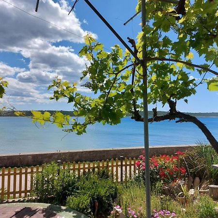 Apartmani Seaview Ljubač Extérieur photo