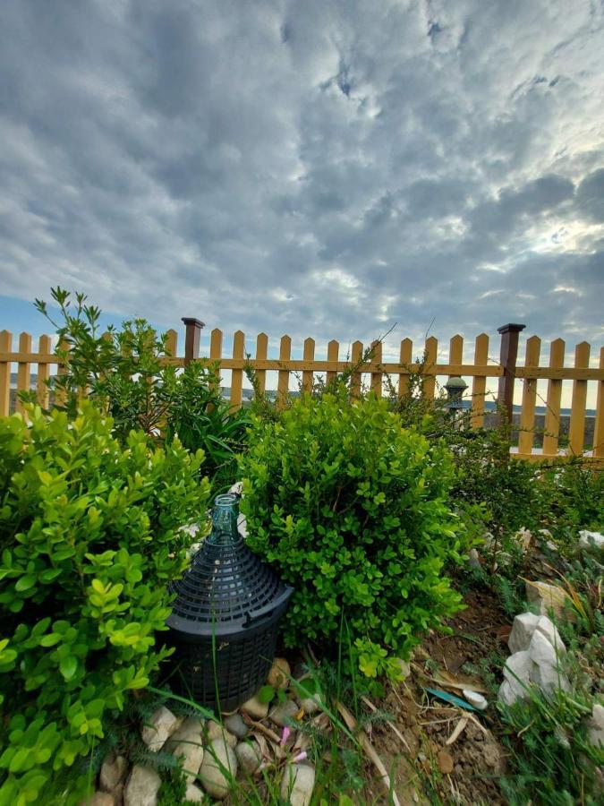 Apartmani Seaview Ljubač Extérieur photo