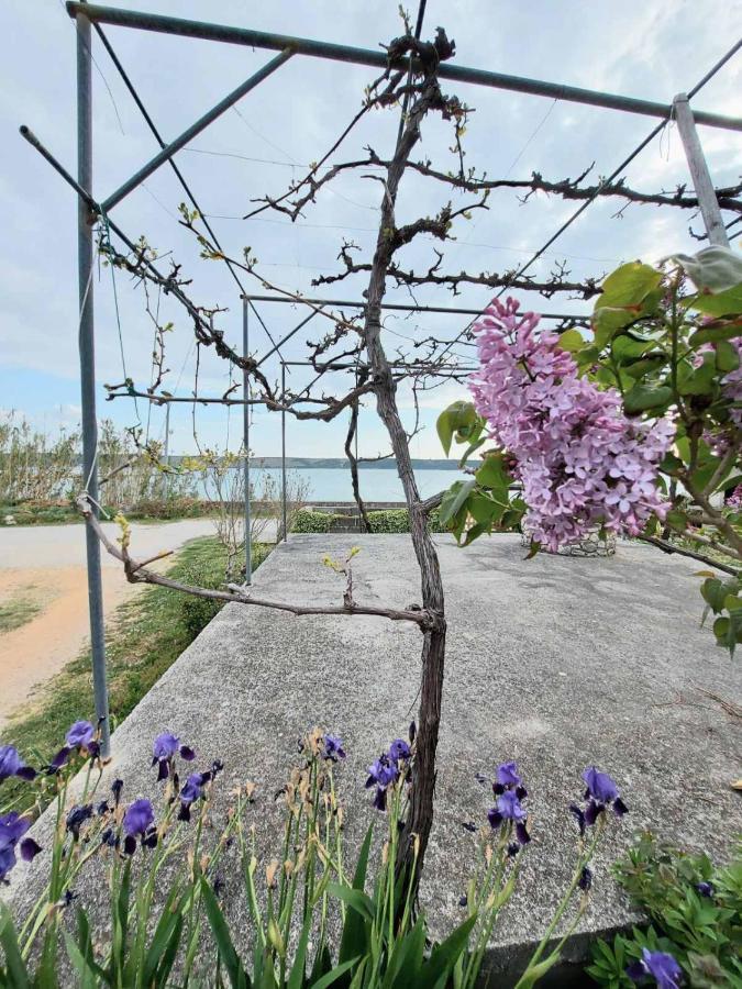 Apartmani Seaview Ljubač Extérieur photo